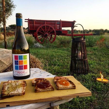 Agriturismo Quattro Pini Castagneto Carducci Eksteriør bilde