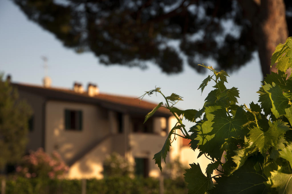 Agriturismo Quattro Pini Castagneto Carducci Eksteriør bilde