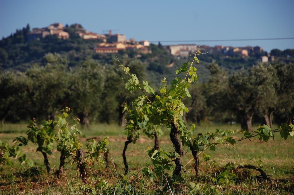 Agriturismo Quattro Pini Castagneto Carducci Eksteriør bilde