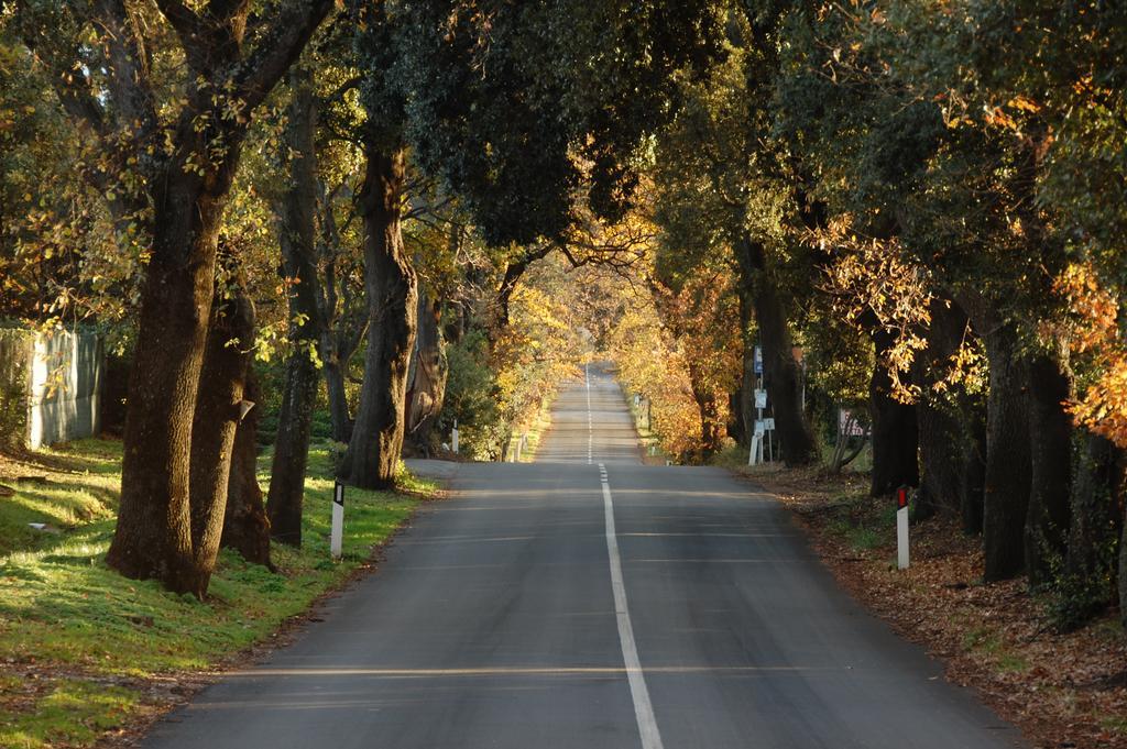 Agriturismo Quattro Pini Castagneto Carducci Eksteriør bilde