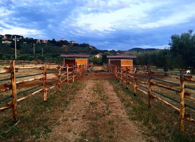 Agriturismo Quattro Pini Castagneto Carducci Eksteriør bilde